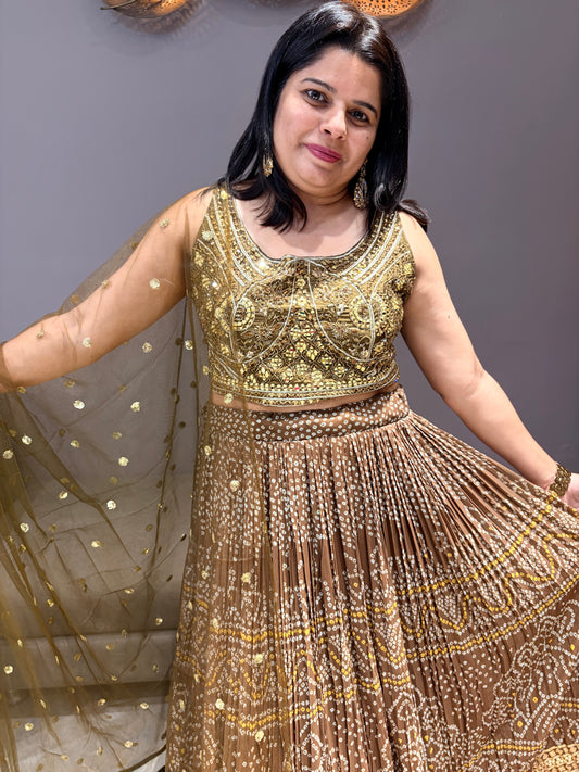 Coffee Bandhni With Sequence Work Heavy Designer Choli With Mirror Work