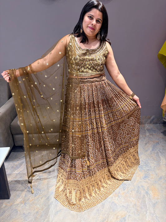 Coffee Bandhni With Sequence Work Heavy Designer Choli With Mirror Work